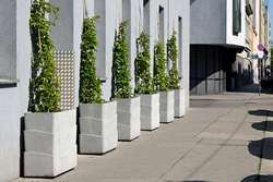 Zelené fasády BeRTA ve Vídni Zelené fasády BeRTA ve Vídni